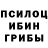 Псилоцибиновые грибы прущие грибы Heiekebeho Ehiebssvia