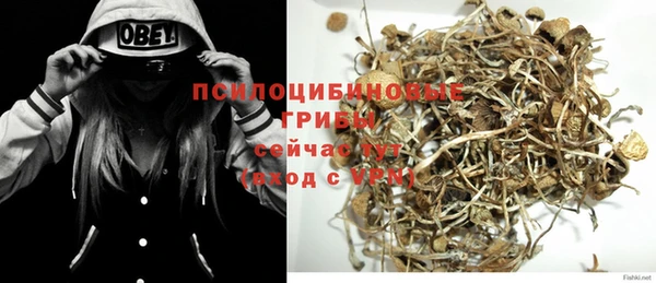 кокс Вяземский