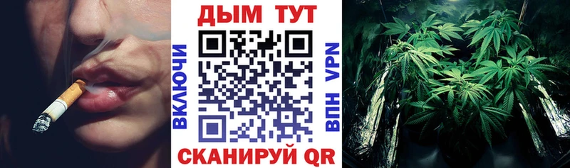 Купить  Сальск  Бошки Шишки индика 